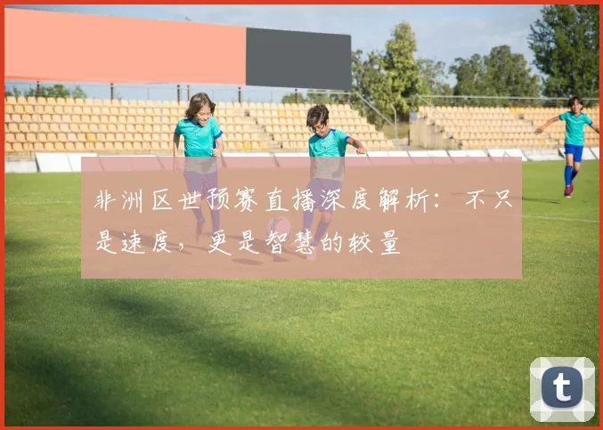 非洲区世预赛直播深度解析：不只是速度，更是智慧的较量