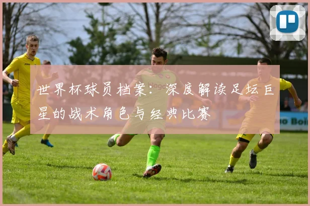 世界杯球员档案:深度解读足坛巨星的战术角色与经典比赛