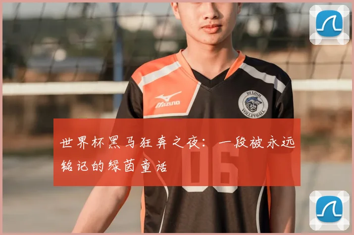 世界杯黑马狂奔之夜：一段被永远铭记的绿茵童话