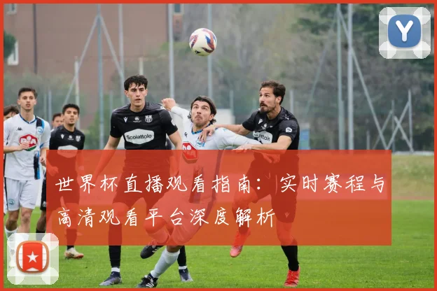 世界杯直播观看指南:实时赛程与高清观看平台深度解析